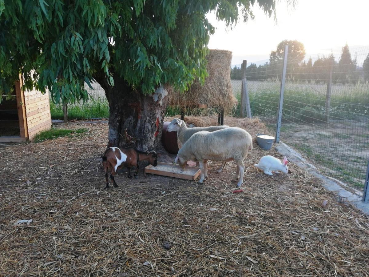 Agriturismo Terralieta Roseto Degli Abruzzi Exterior foto